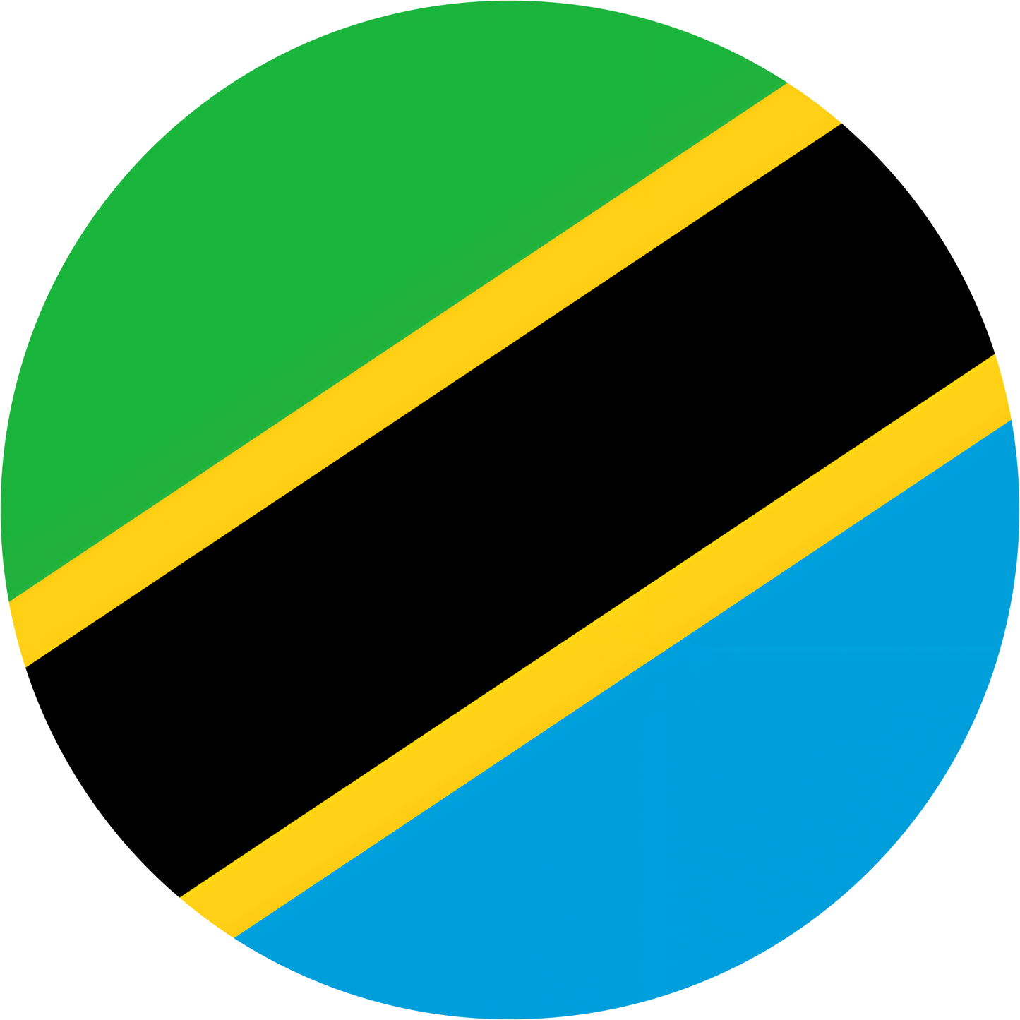 Tanzania Flag