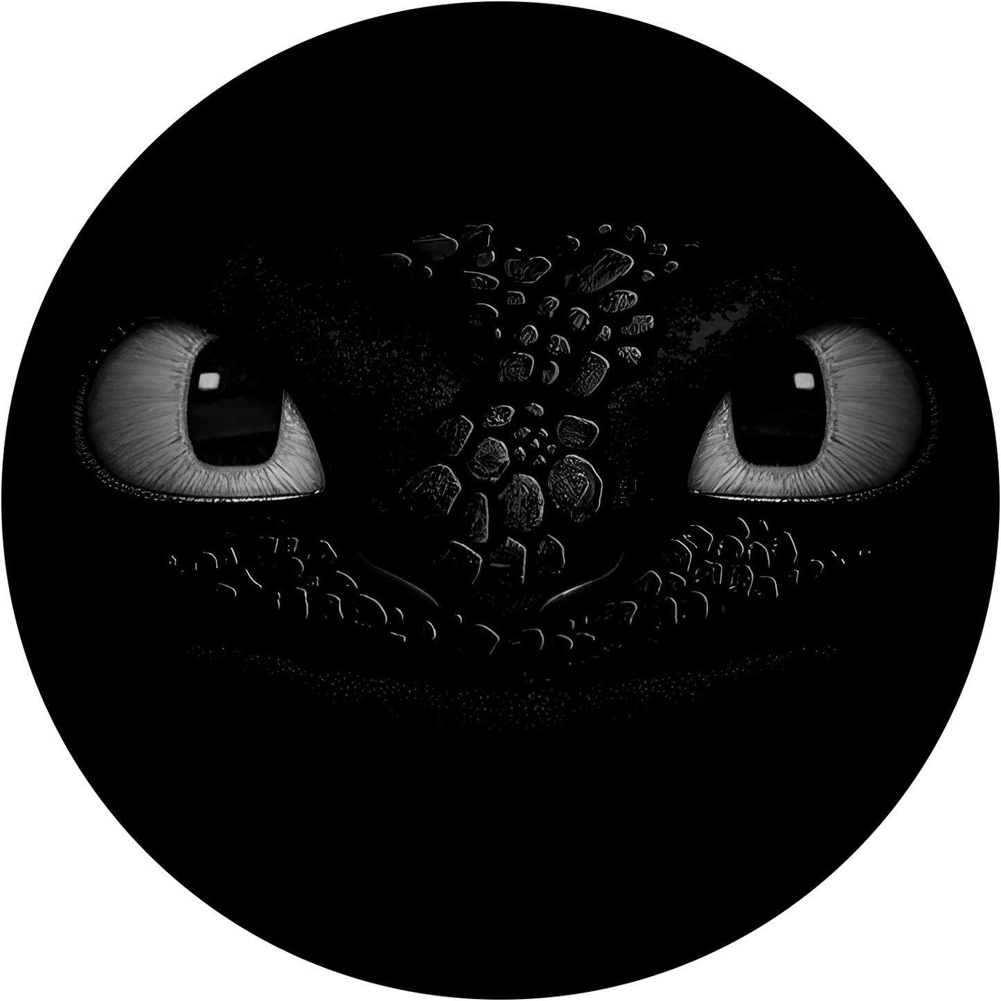 How To Train Your Dragon #4