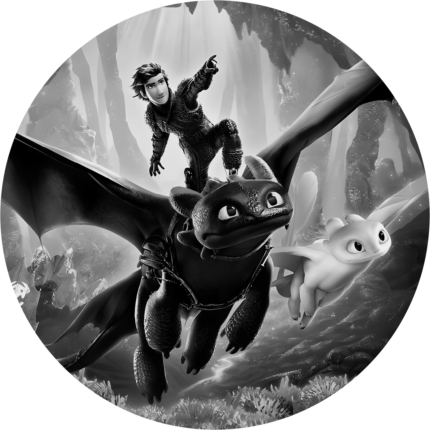 How To Train Your Dragon