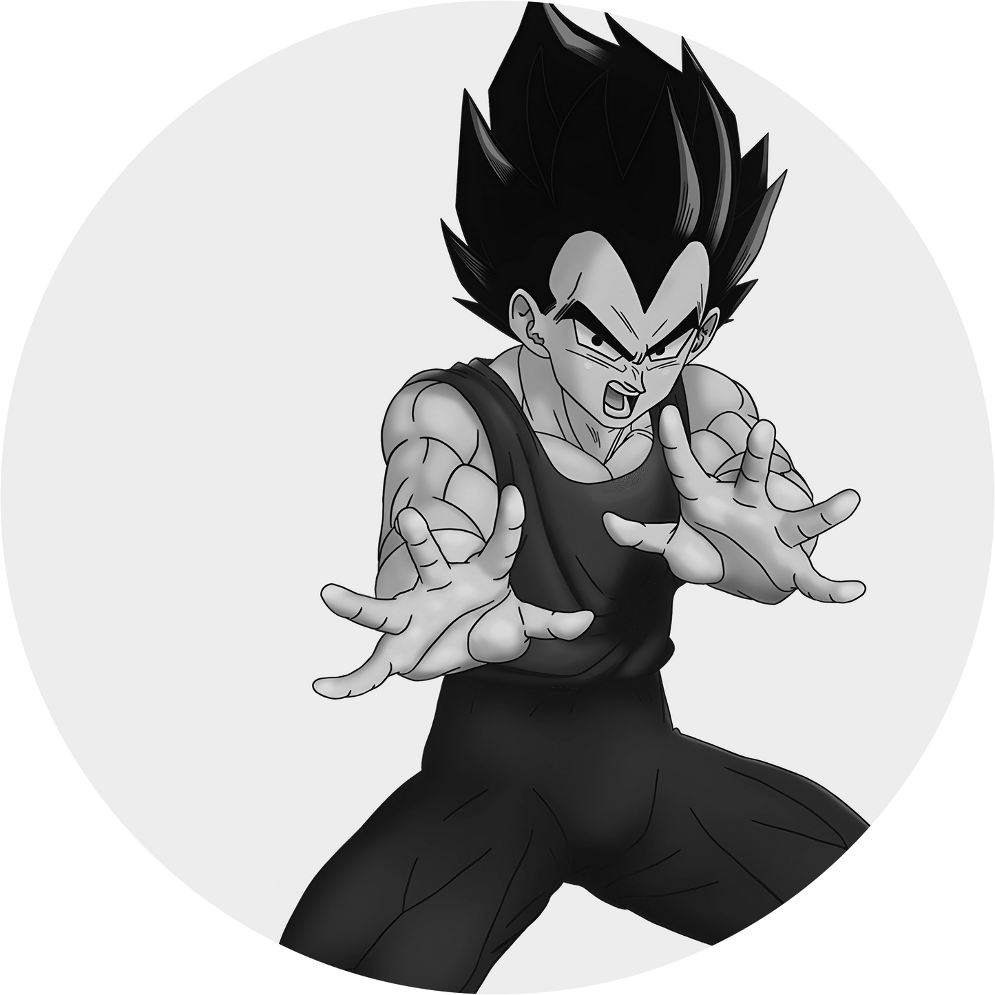 Dragon Ball #12