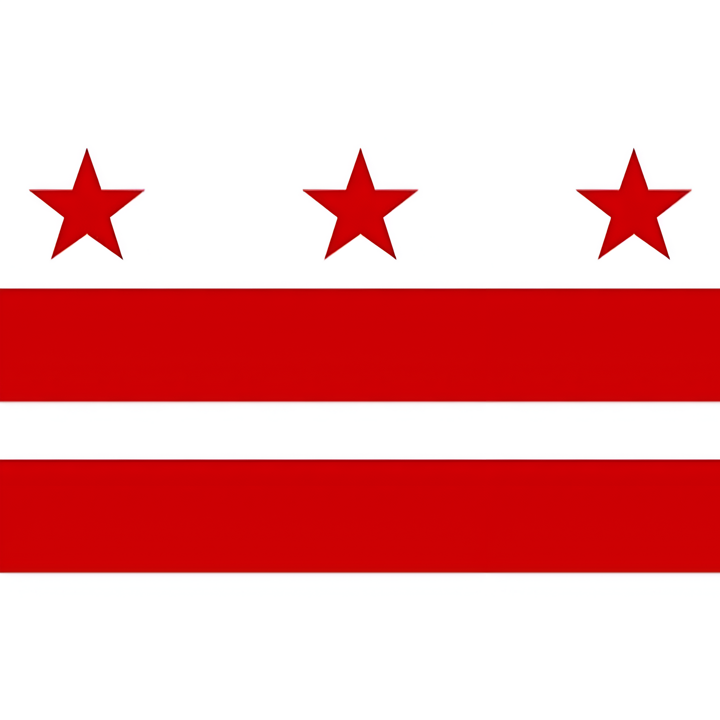 Washington D.C. Flag
