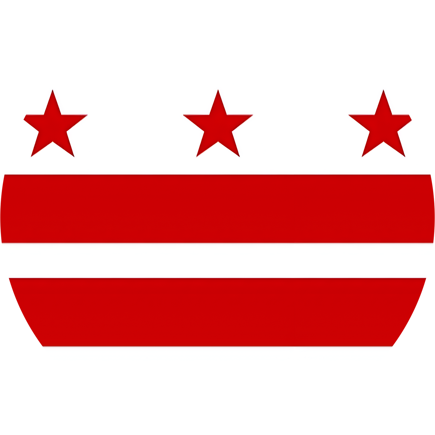 Washington D.C. Flag