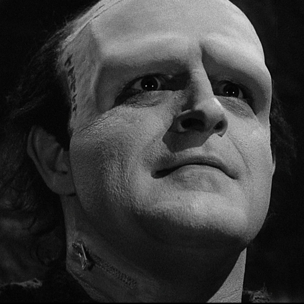 Young Frankenstein #5
