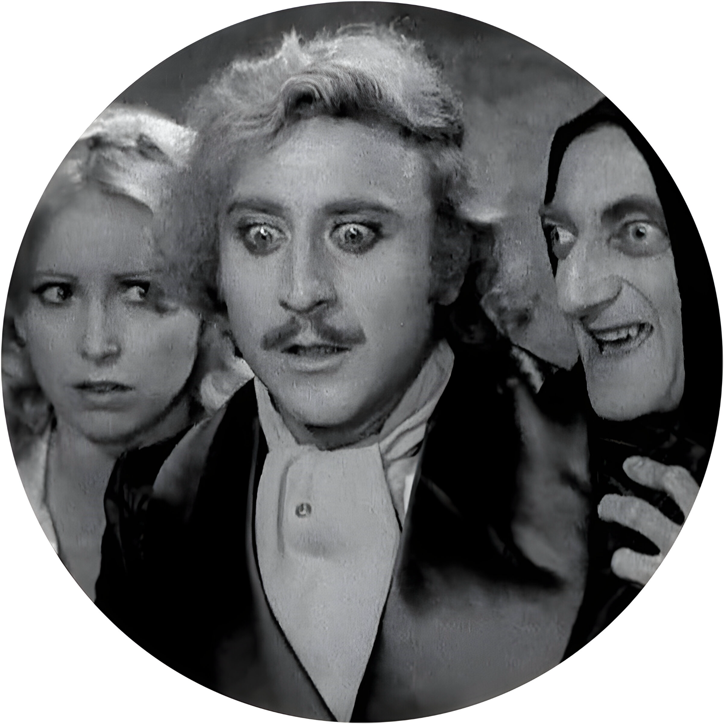 Young Frankenstein #3