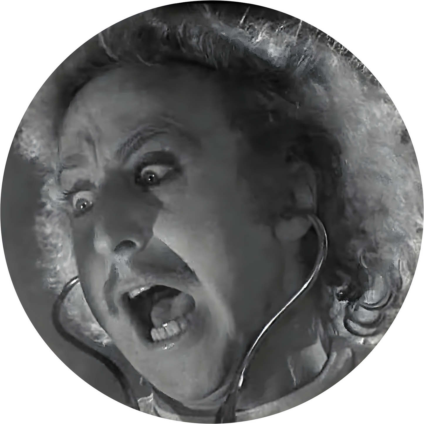 Young Frankenstein #2
