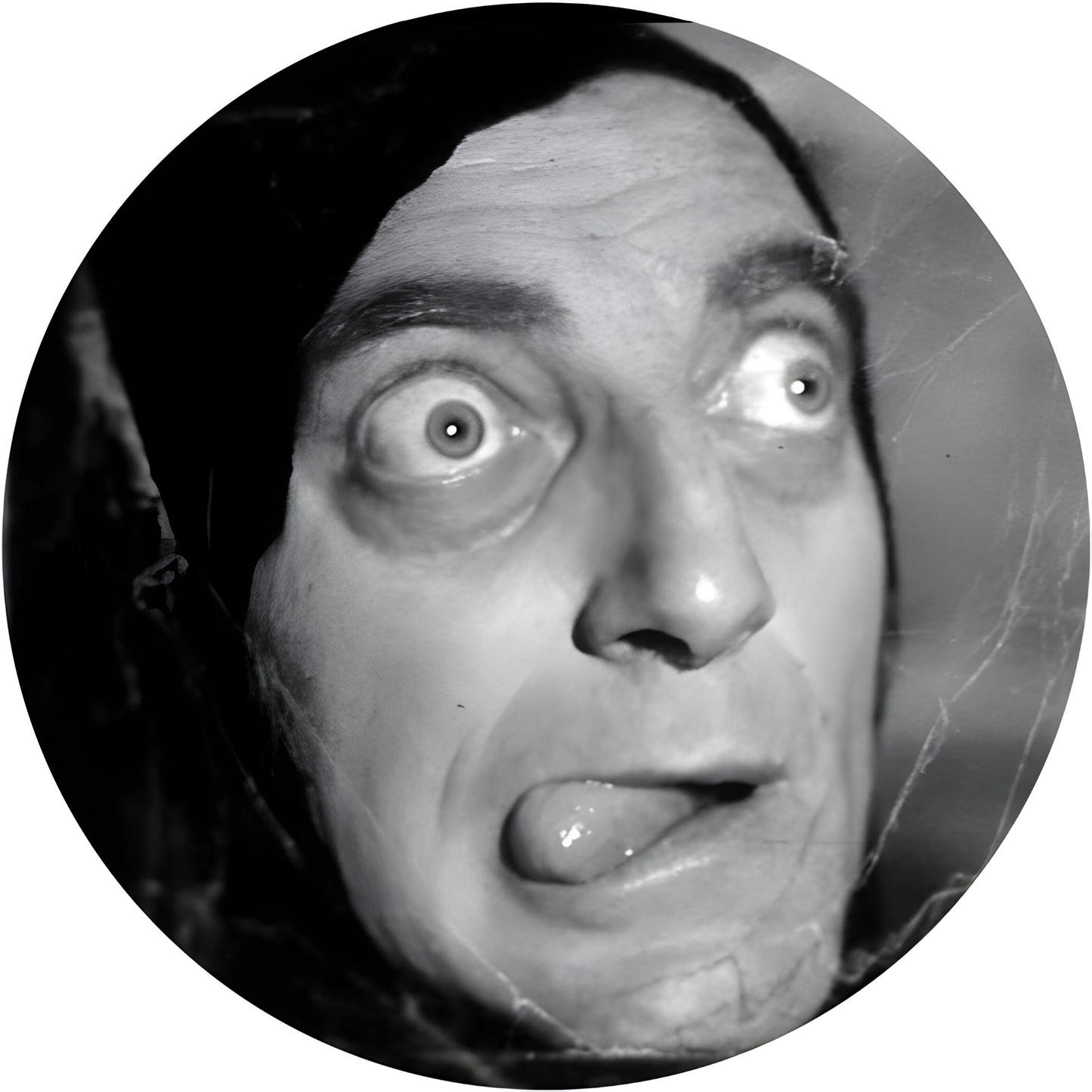 Young Frankenstein #4