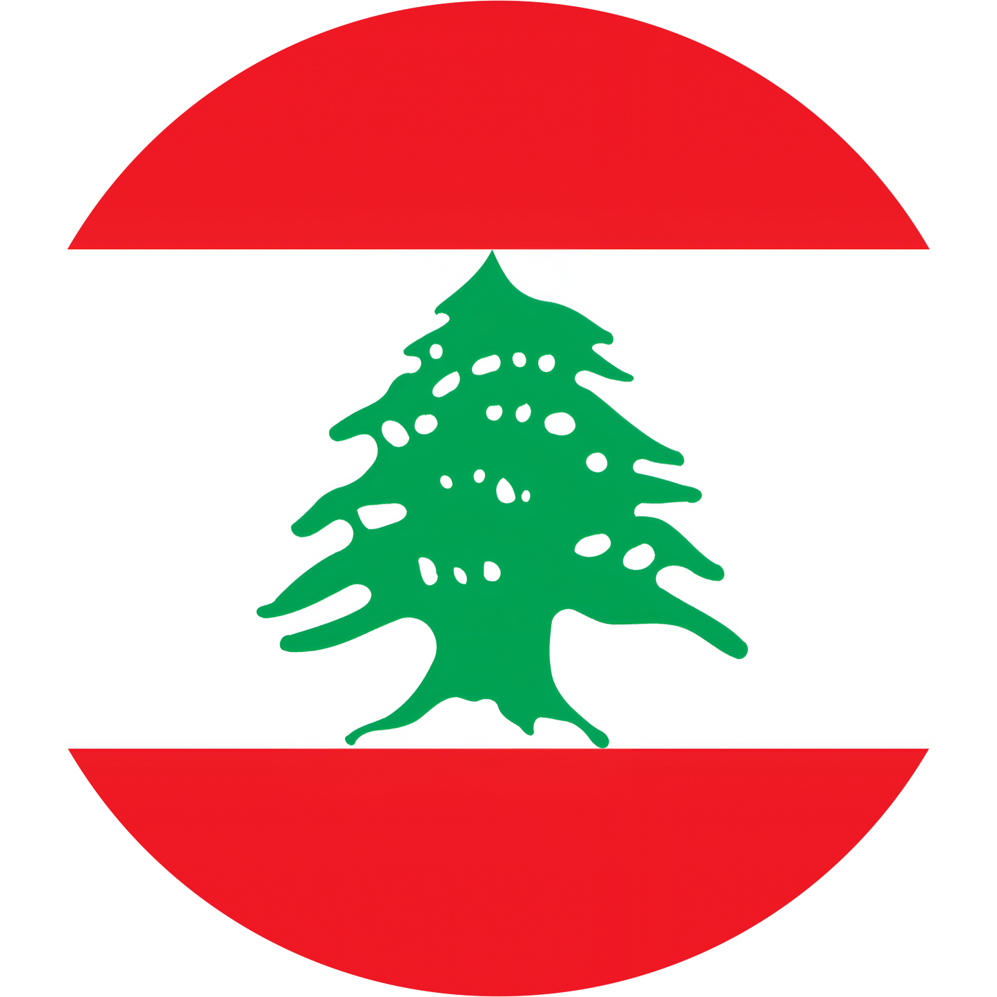 Lebanon Flag