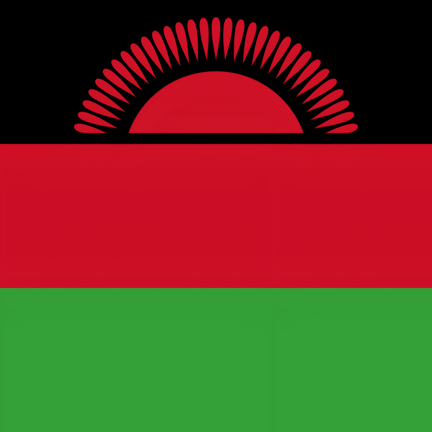Malawi Flag