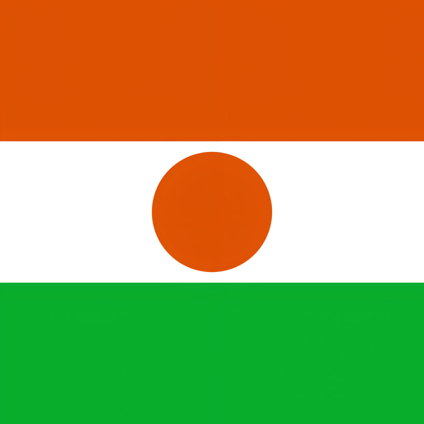 Niger Flag