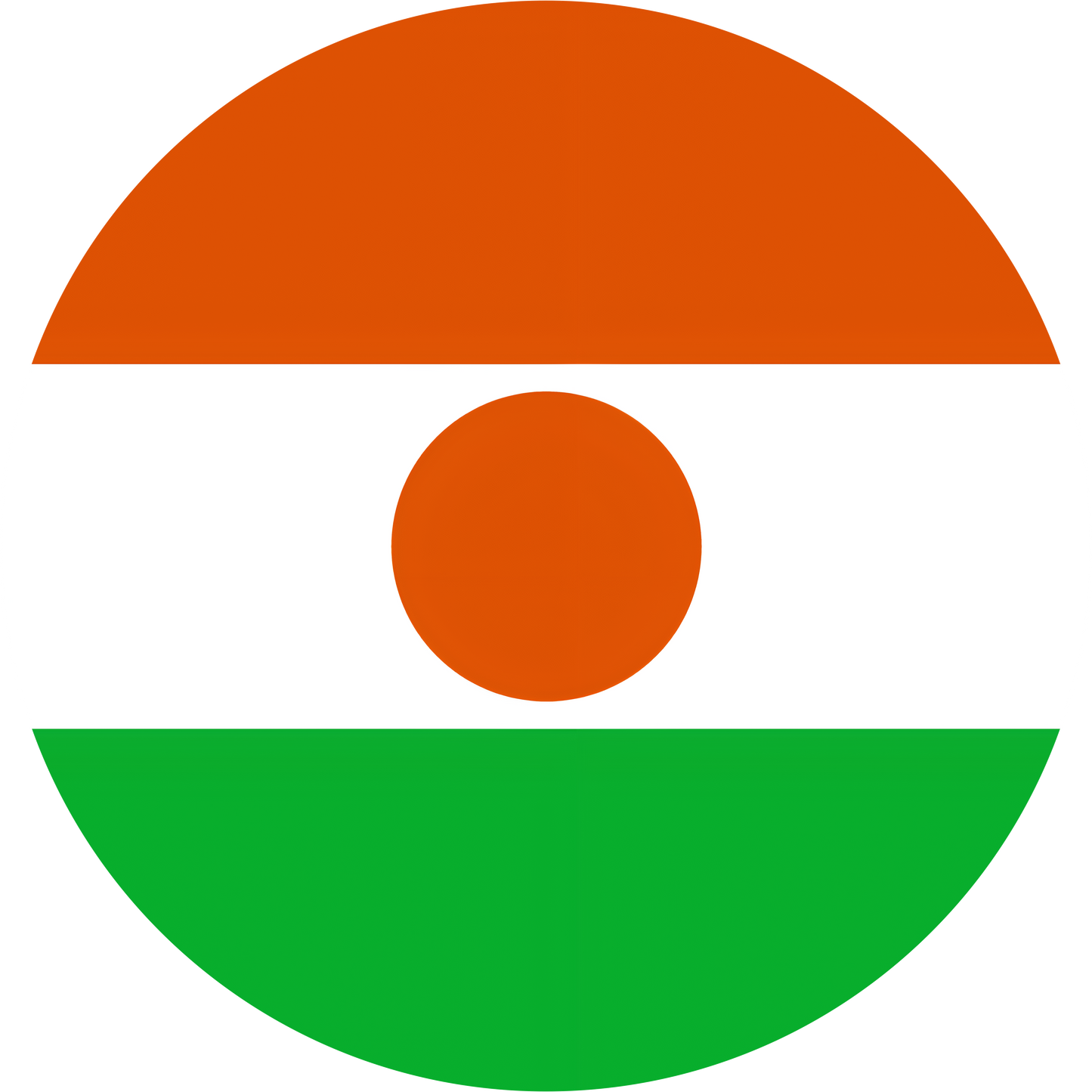 Niger Flag