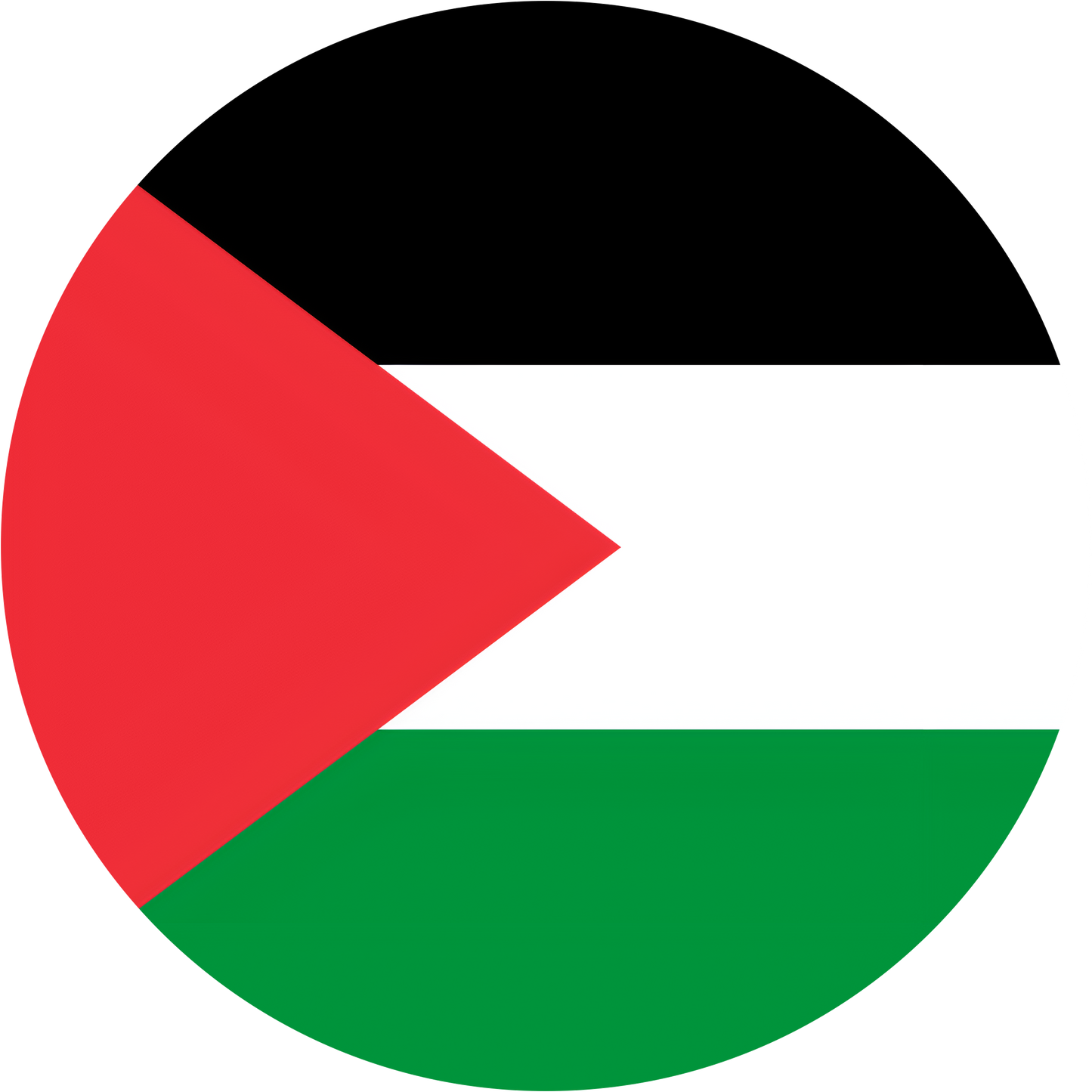 Palestine Flag