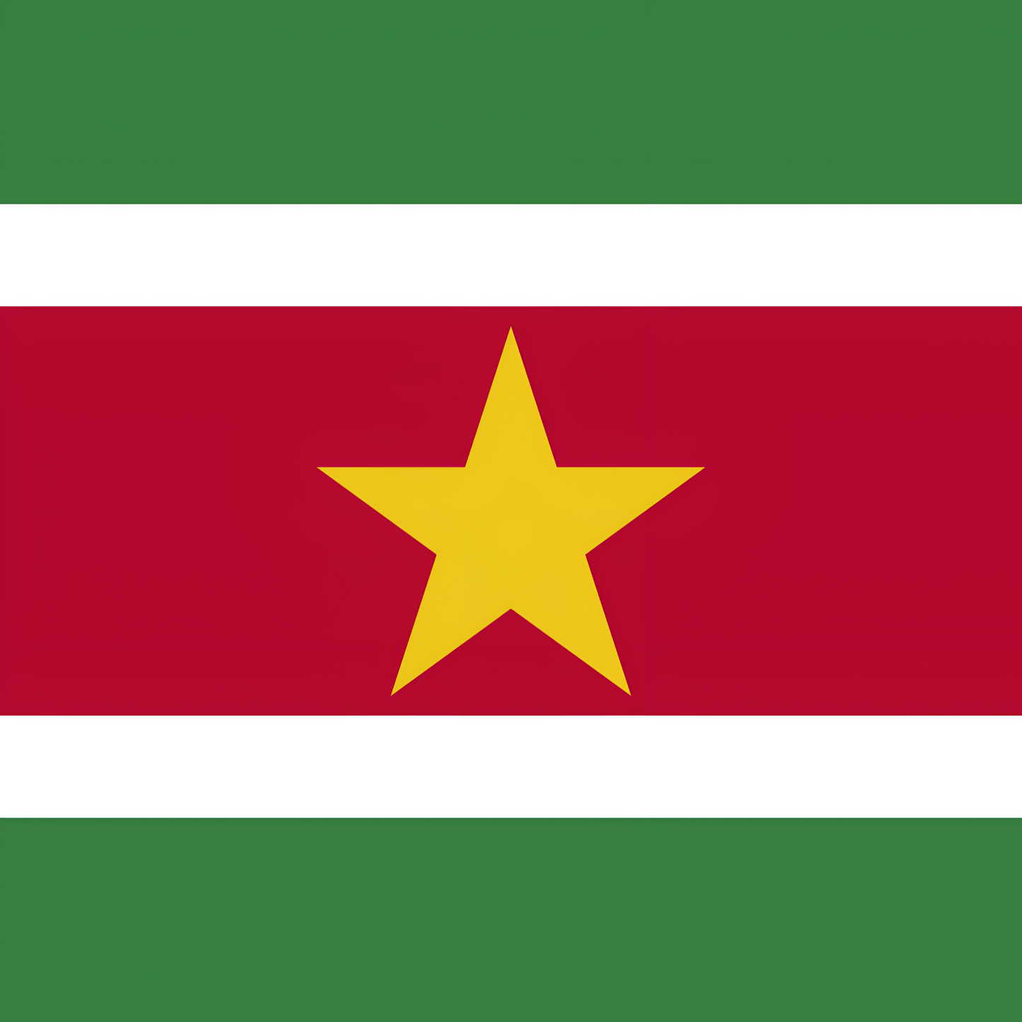 Suriname Flag