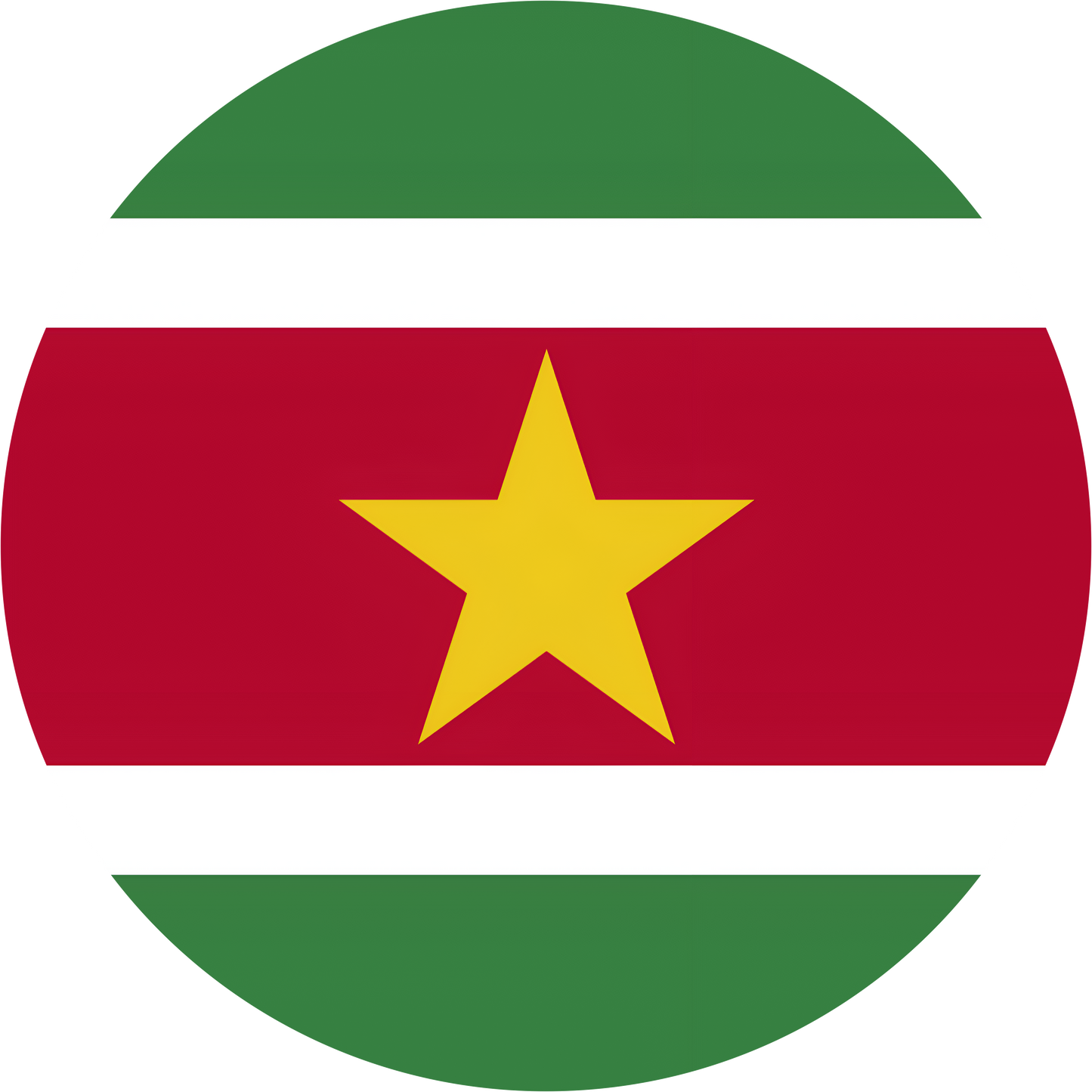 Suriname Flag