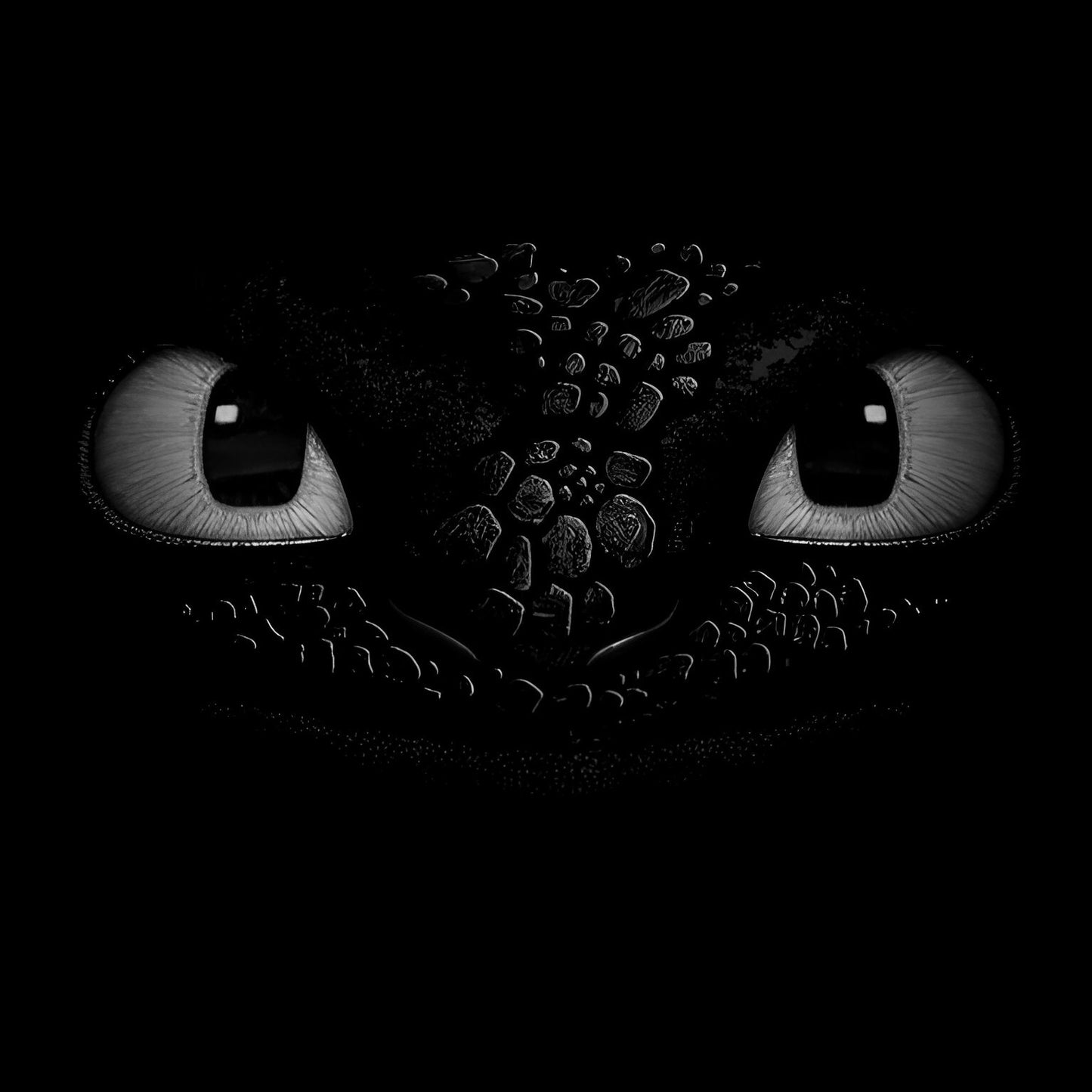 How To Train Your Dragon #4
