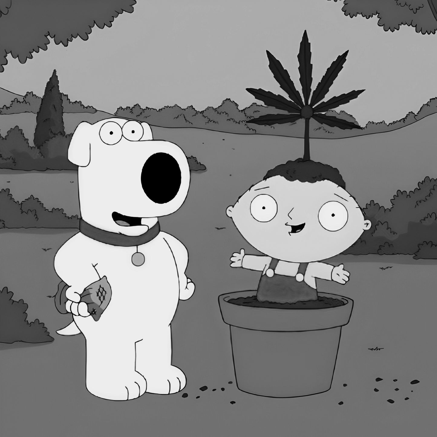 Family Guy 420