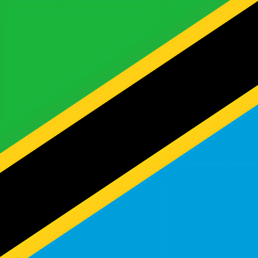 Tanzania Flag