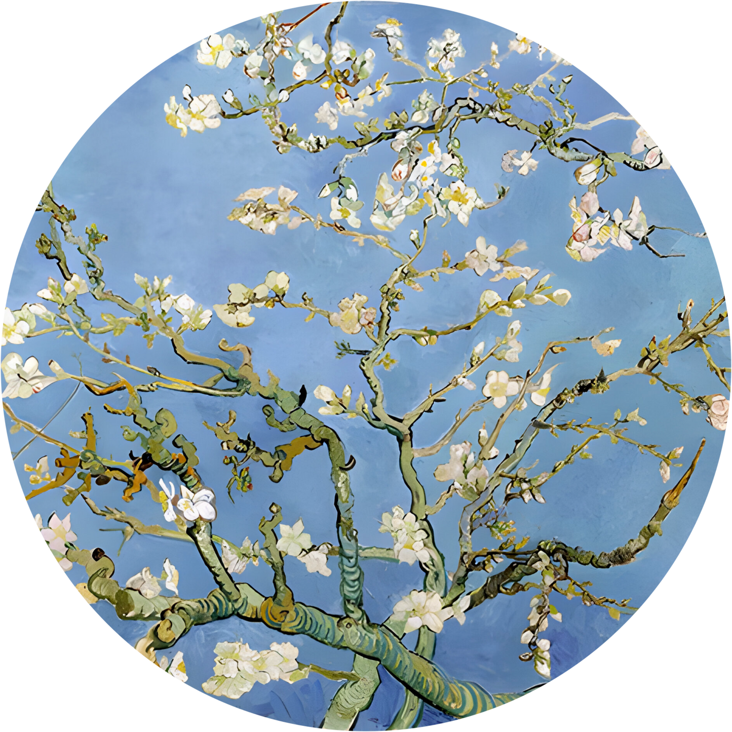 Almond Blossoms