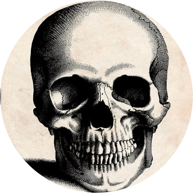 Skull