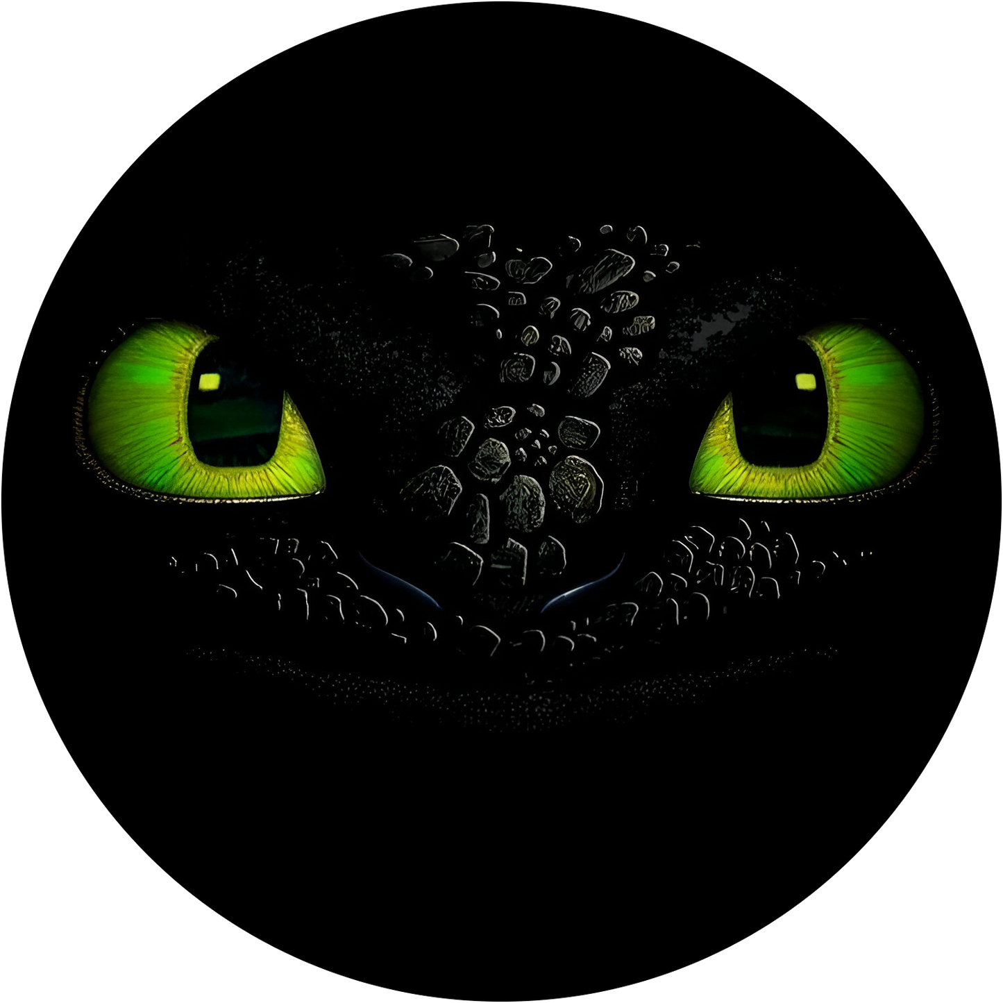 How To Train Your Dragon #4