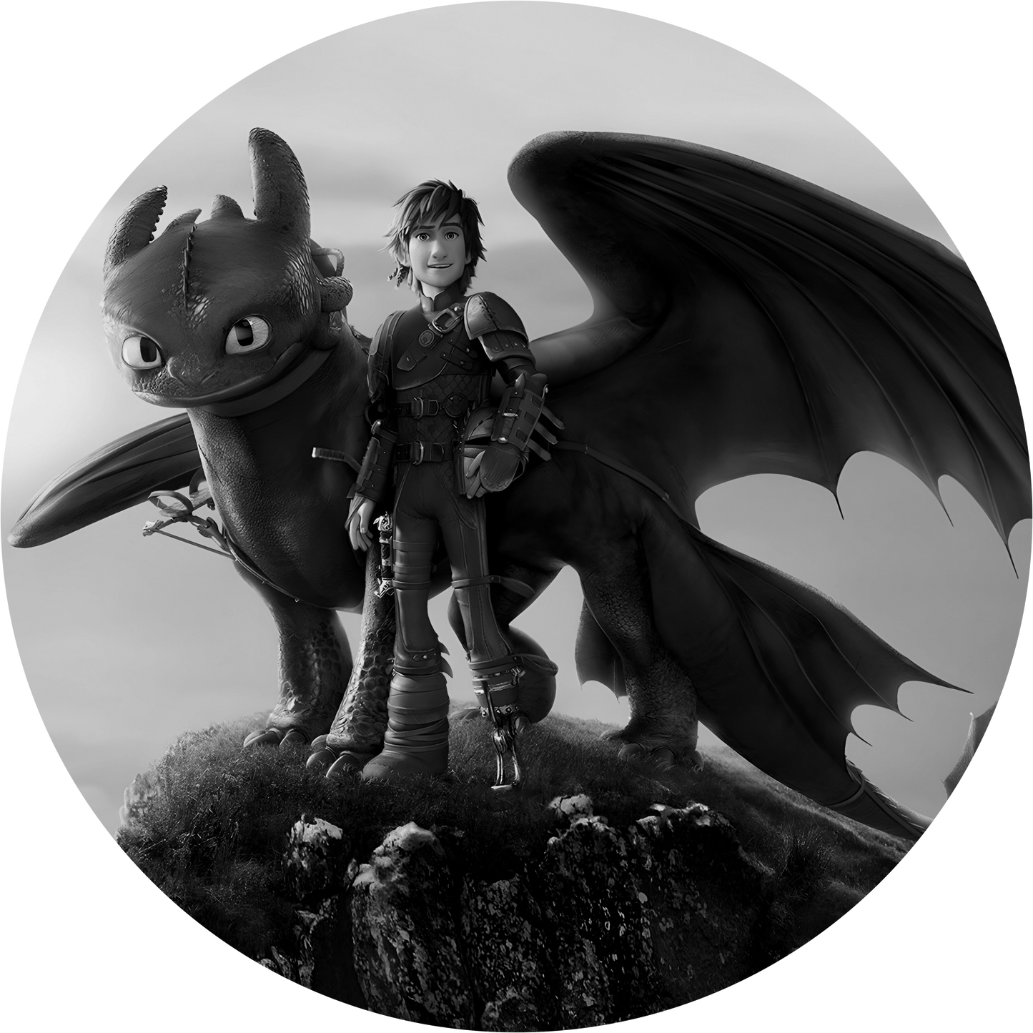 How To Train Your Dragon #2