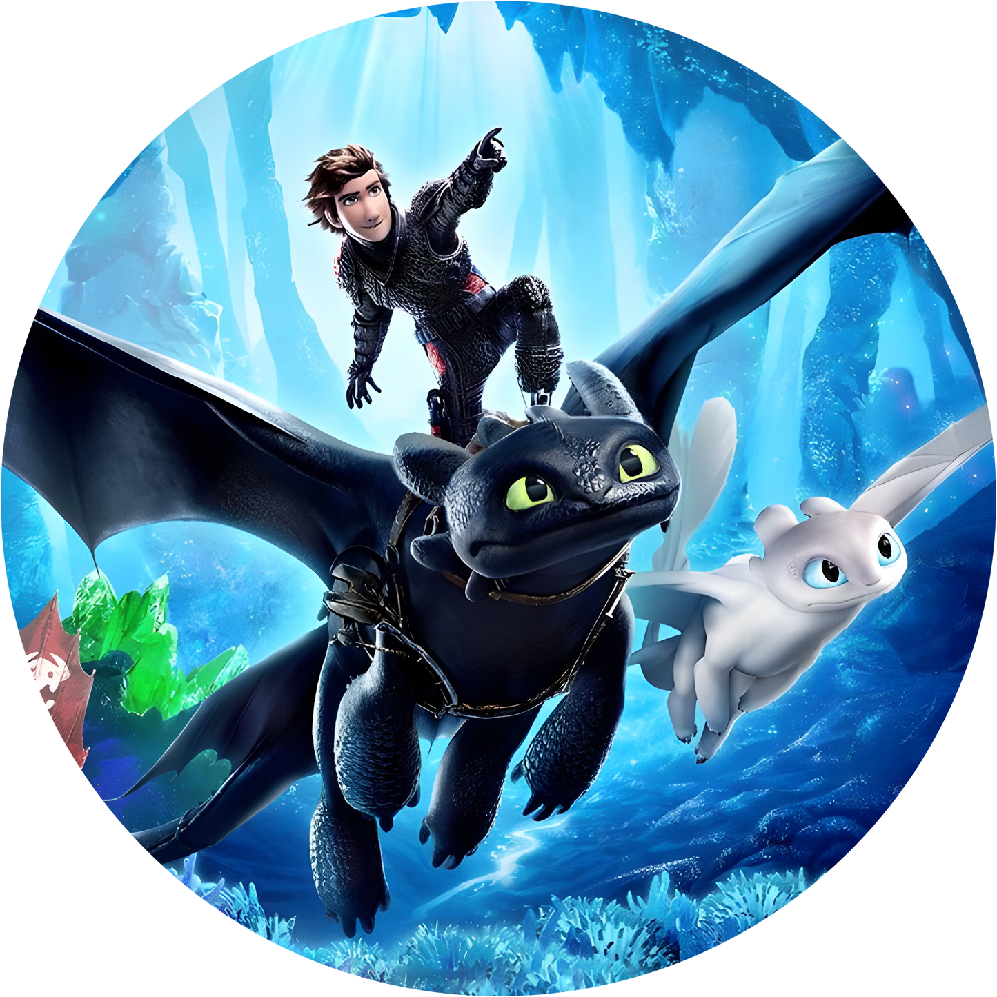 How To Train Your Dragon
