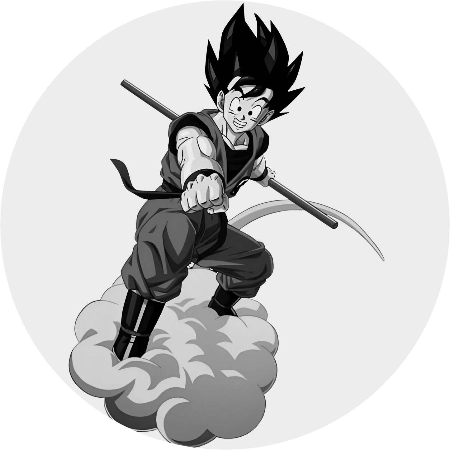 Dragon Ball #13