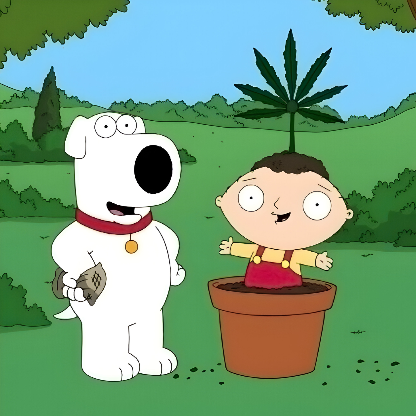 Family Guy 420