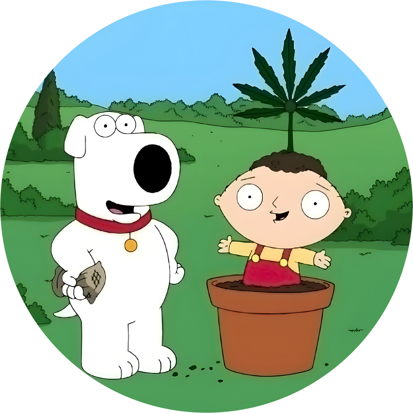 Family Guy 420