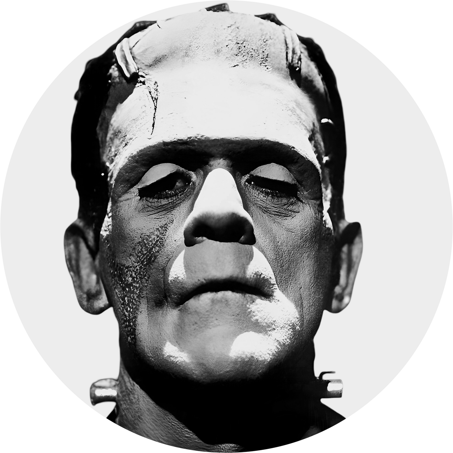 Frankenstein - Universal Classic Monsters