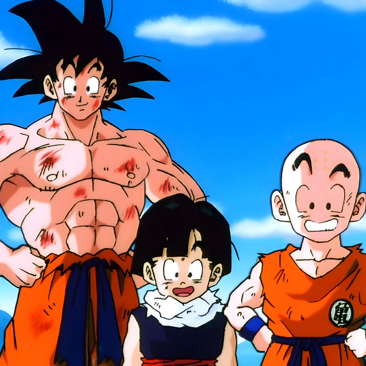 Dragon Ball #27