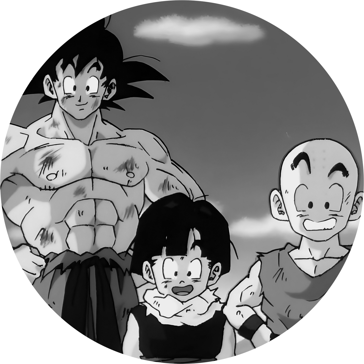 Dragon Ball #27