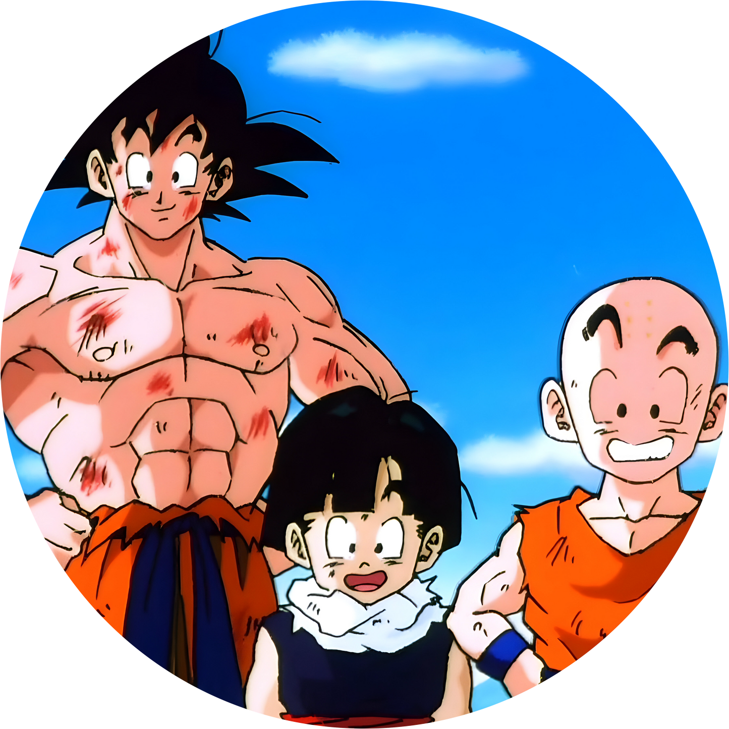 Dragon Ball #27