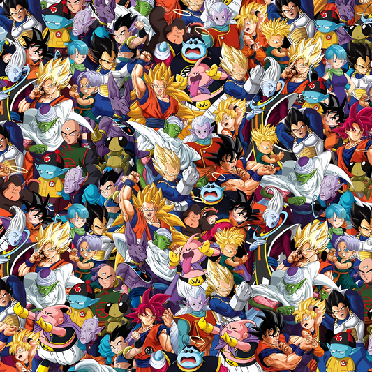 Dragon Ball #24