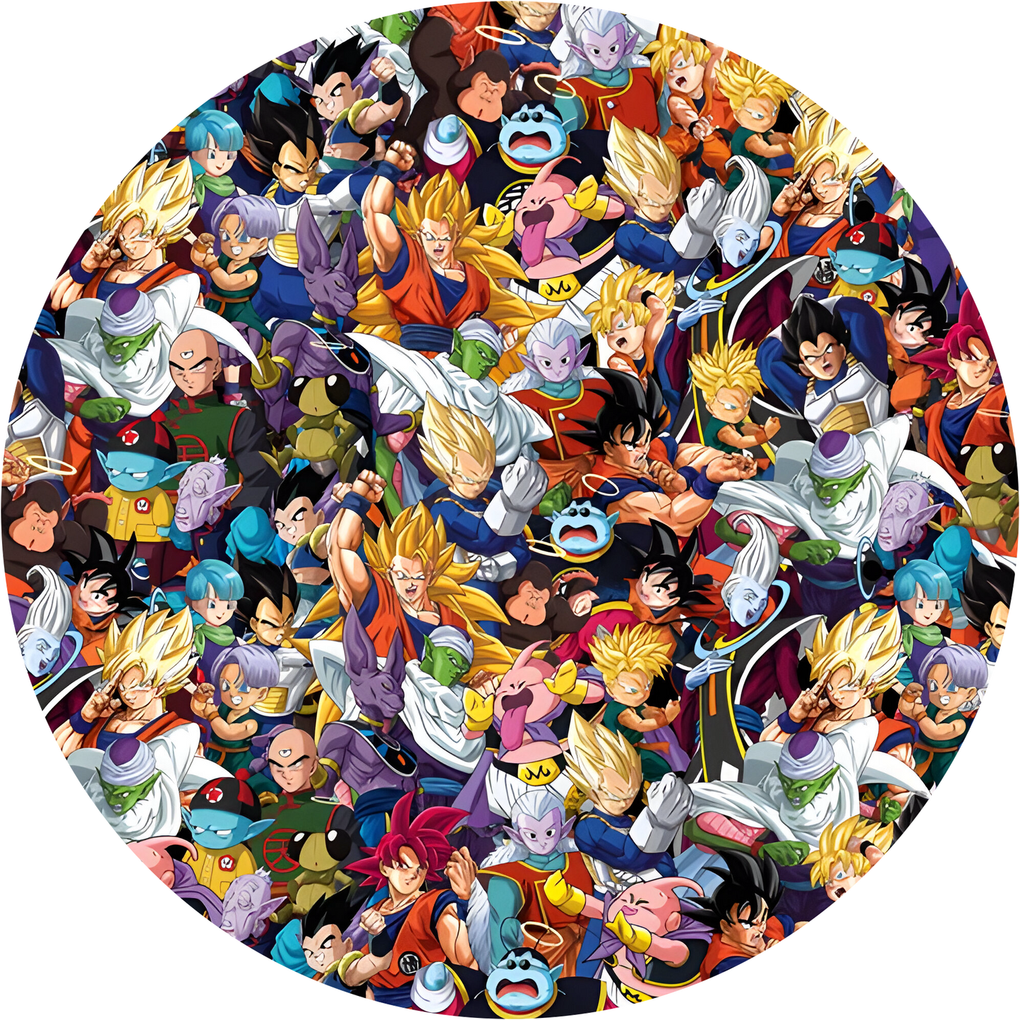 Dragon Ball #24