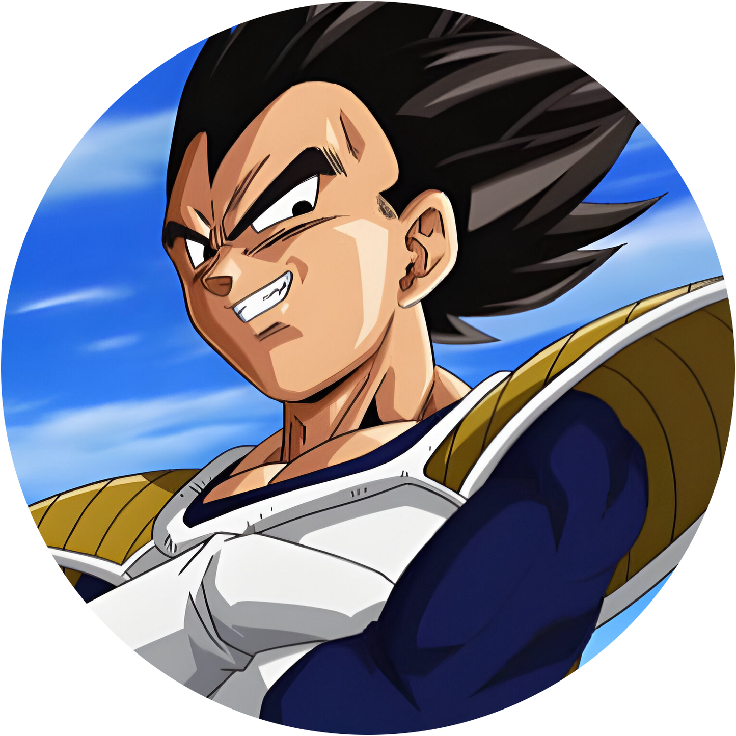 Dragon Ball #23