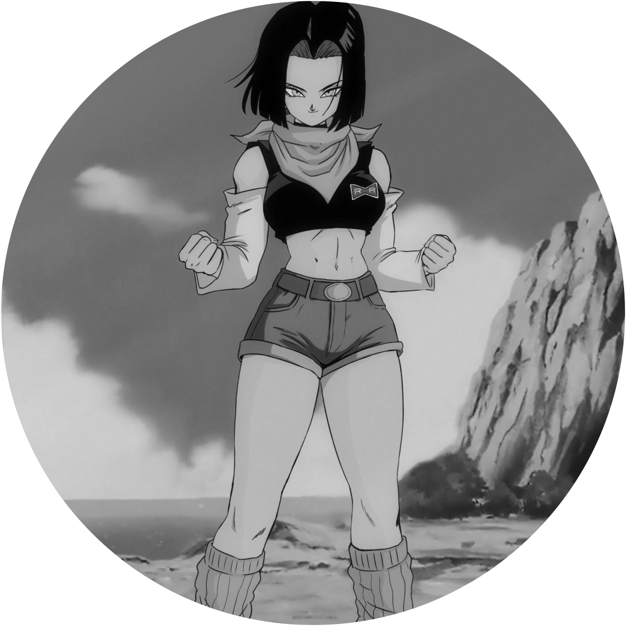 Dragon Ball #19