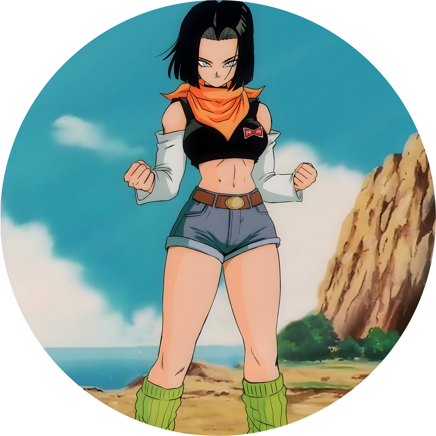 Dragon Ball #19