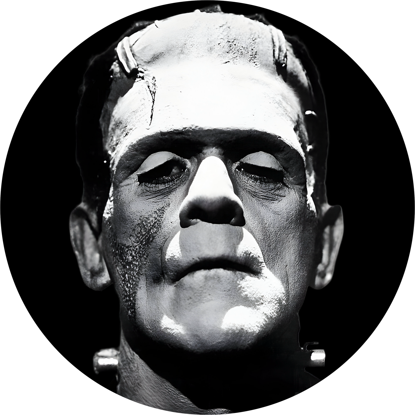 Frankenstein - Universal Classic Monsters