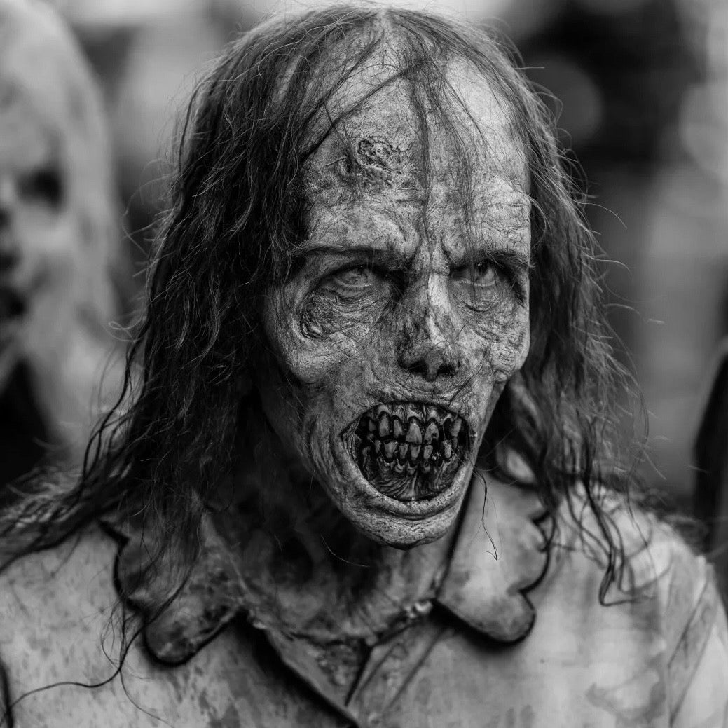 The Walking Dead Zombie