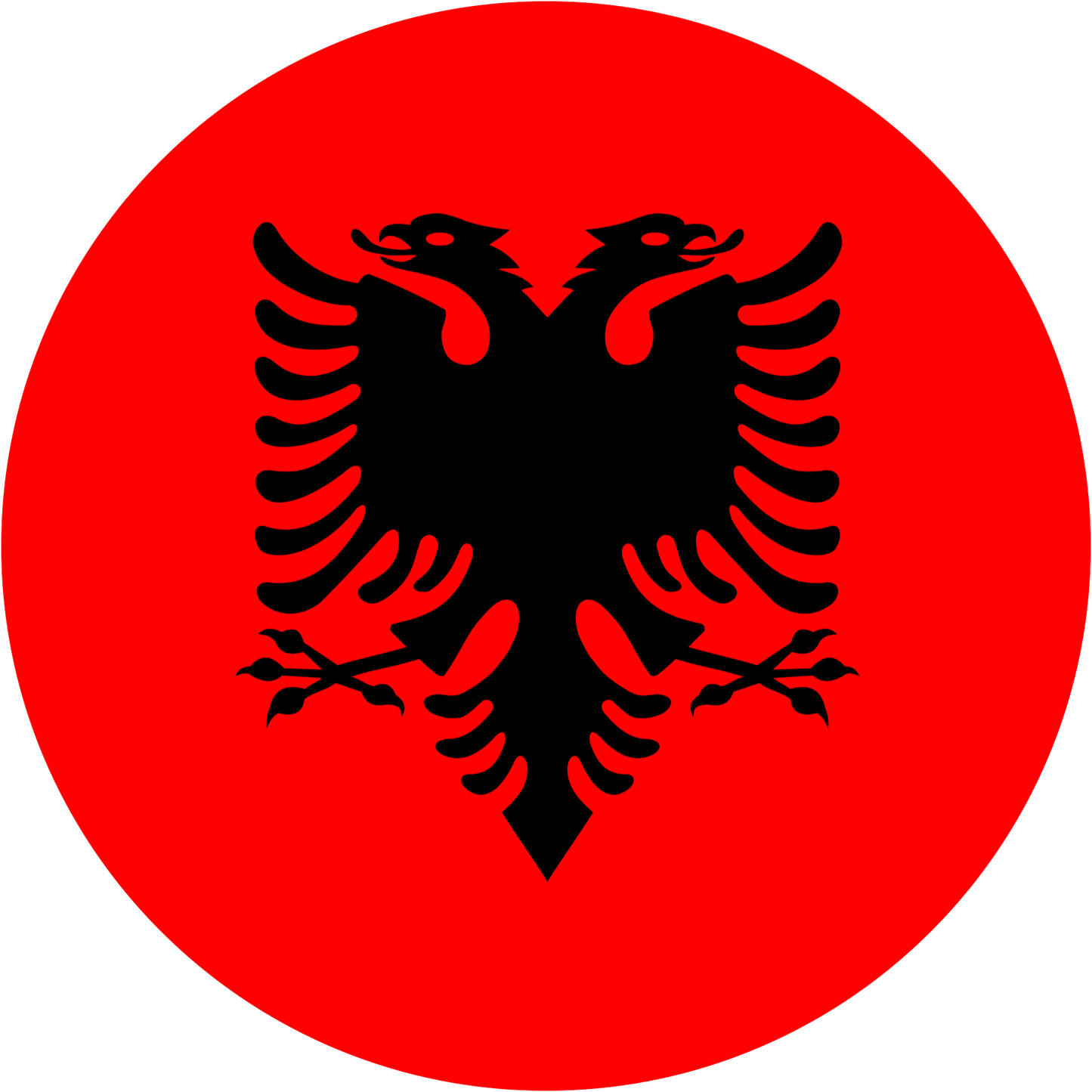 Albania Flag