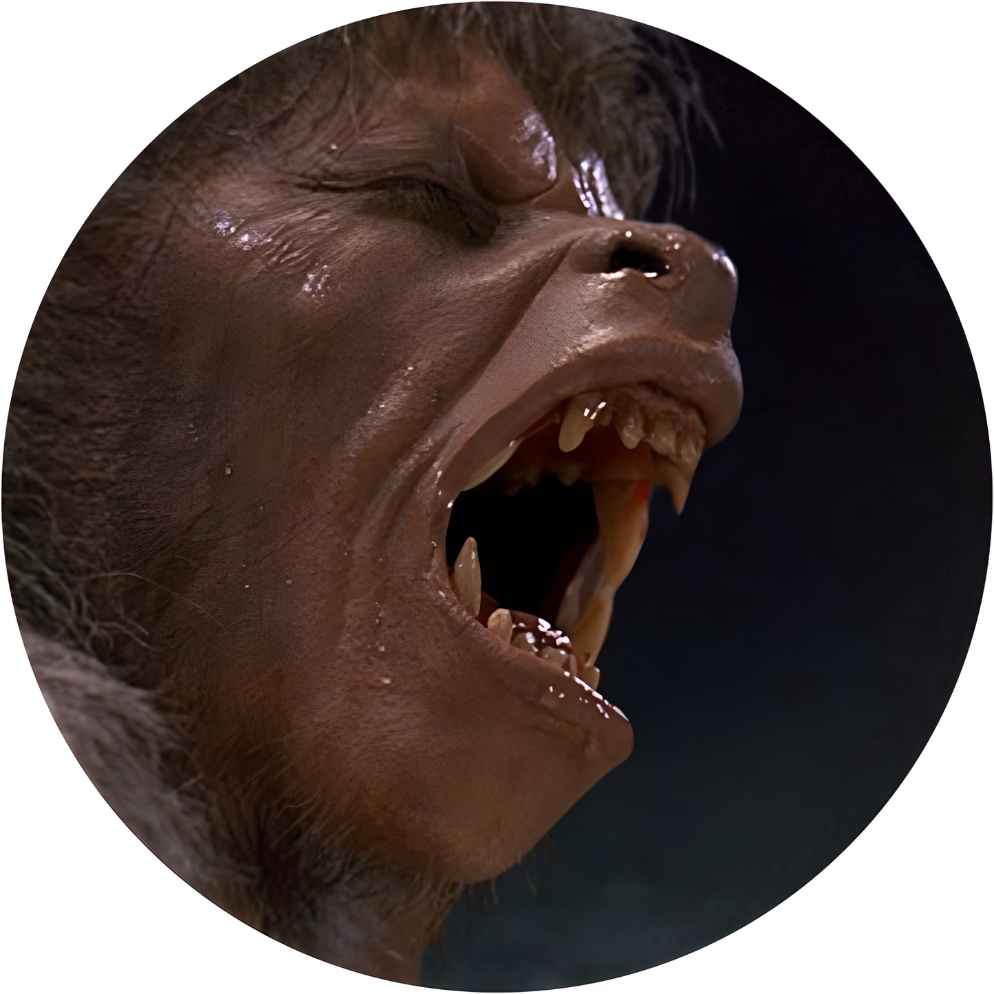 An American Werewolf in London #2