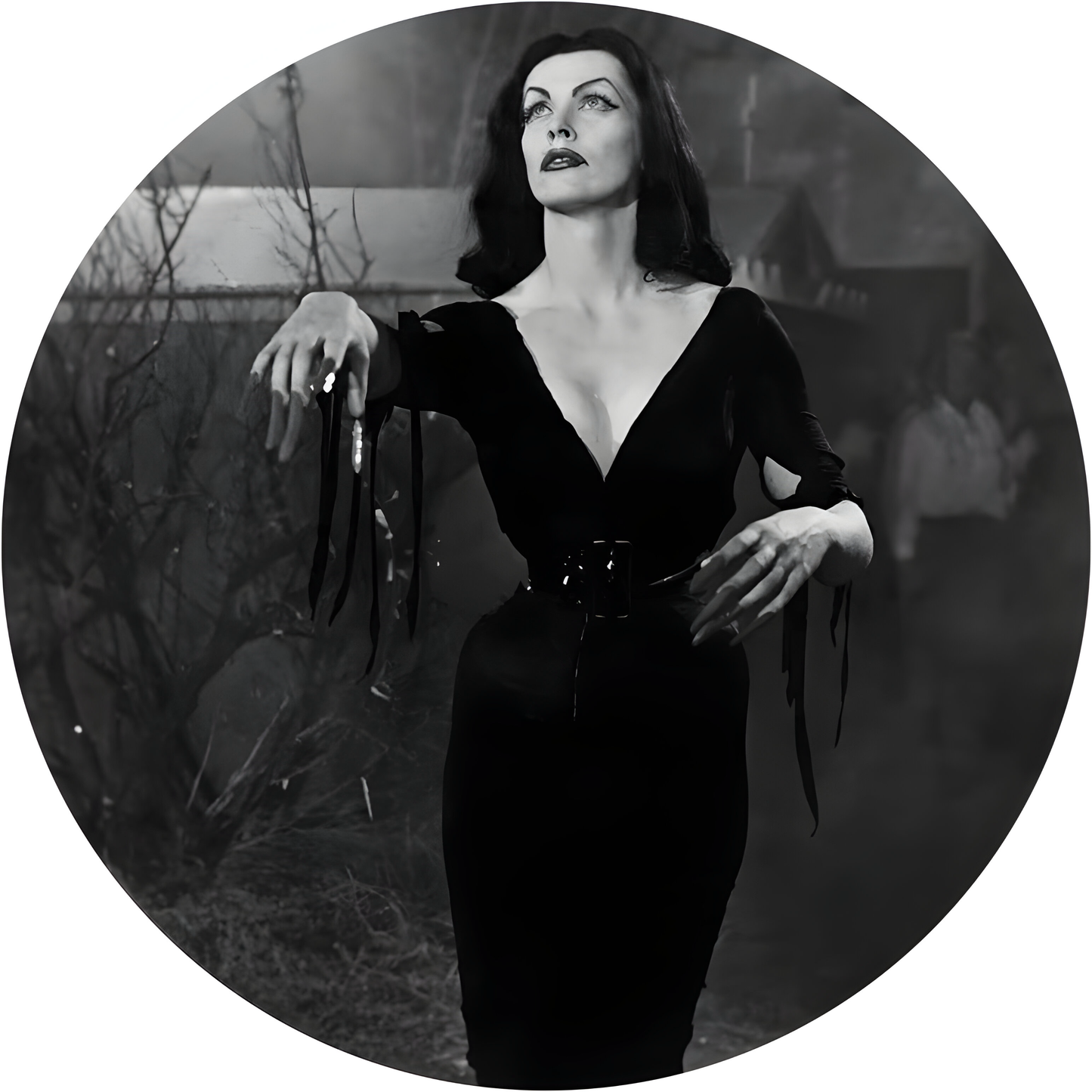 Vampira