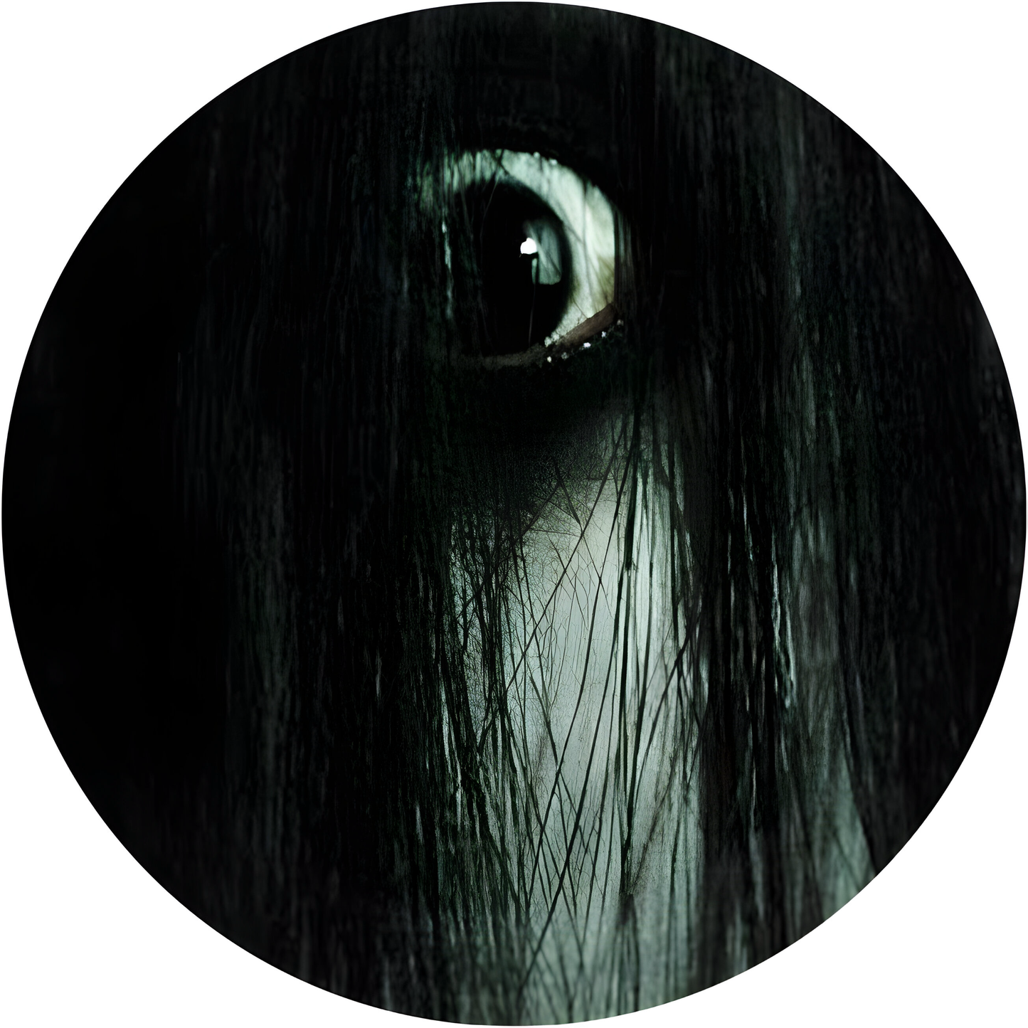 The Grudge #2