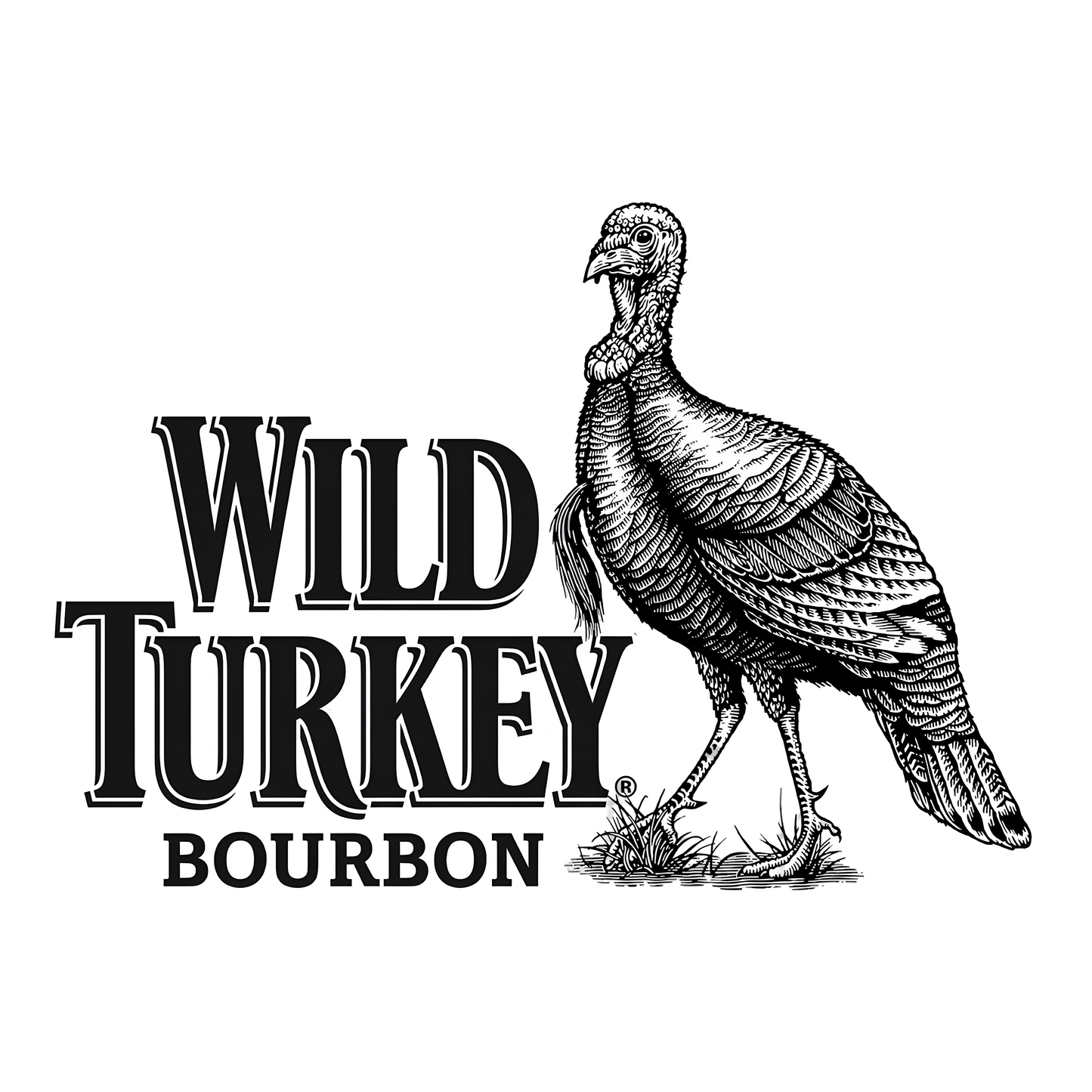 Wild Turkey