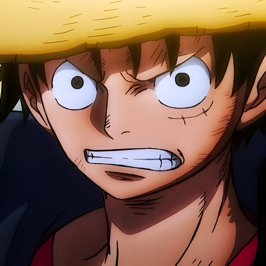 One Piece #14