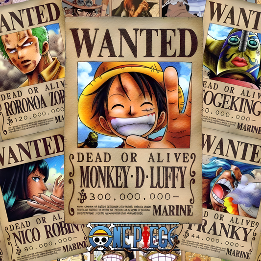 One Piece #13