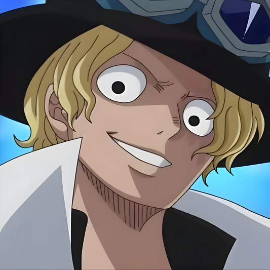 One Piece #12