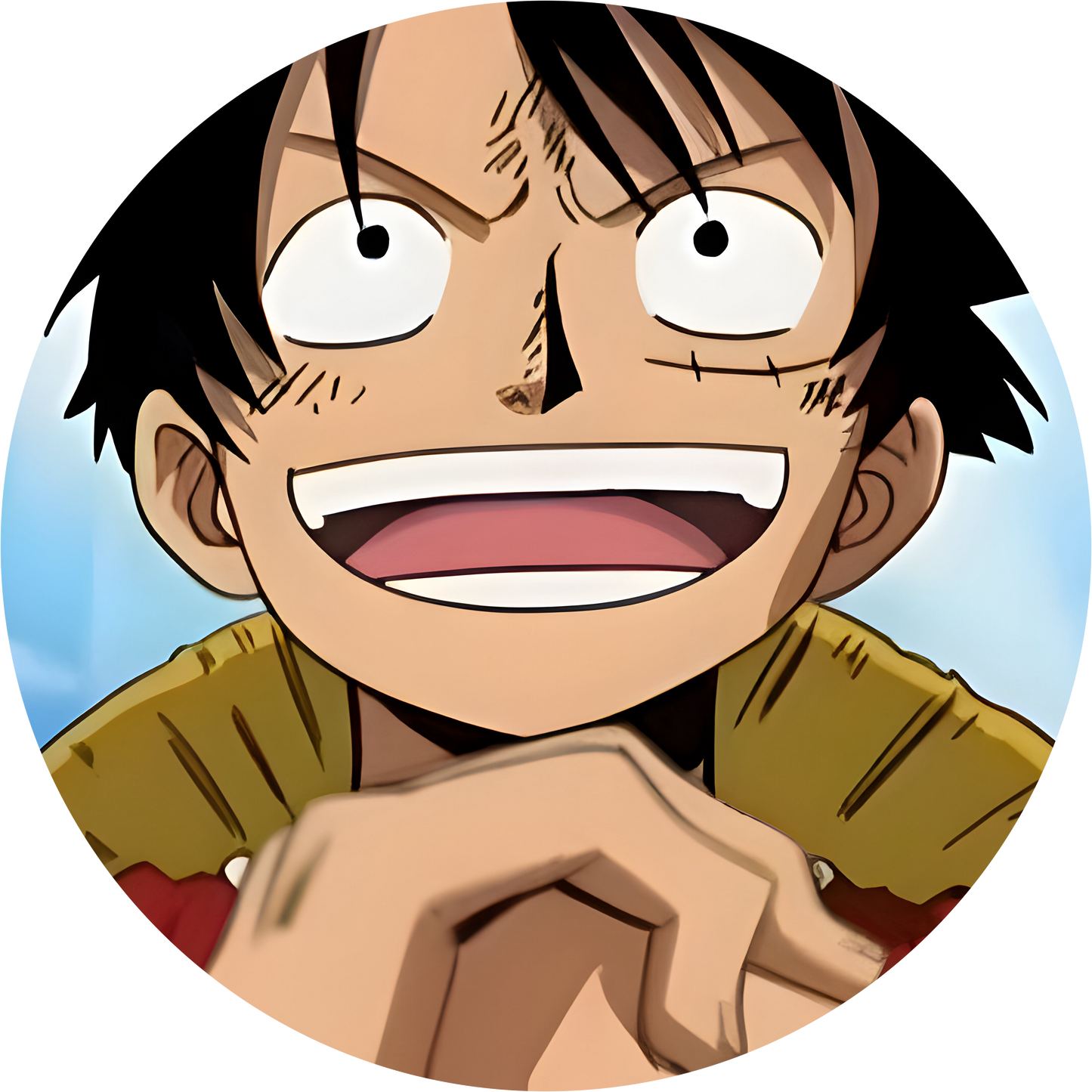 One Piece #8