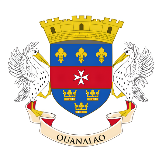 Saint Barthélemy Flag