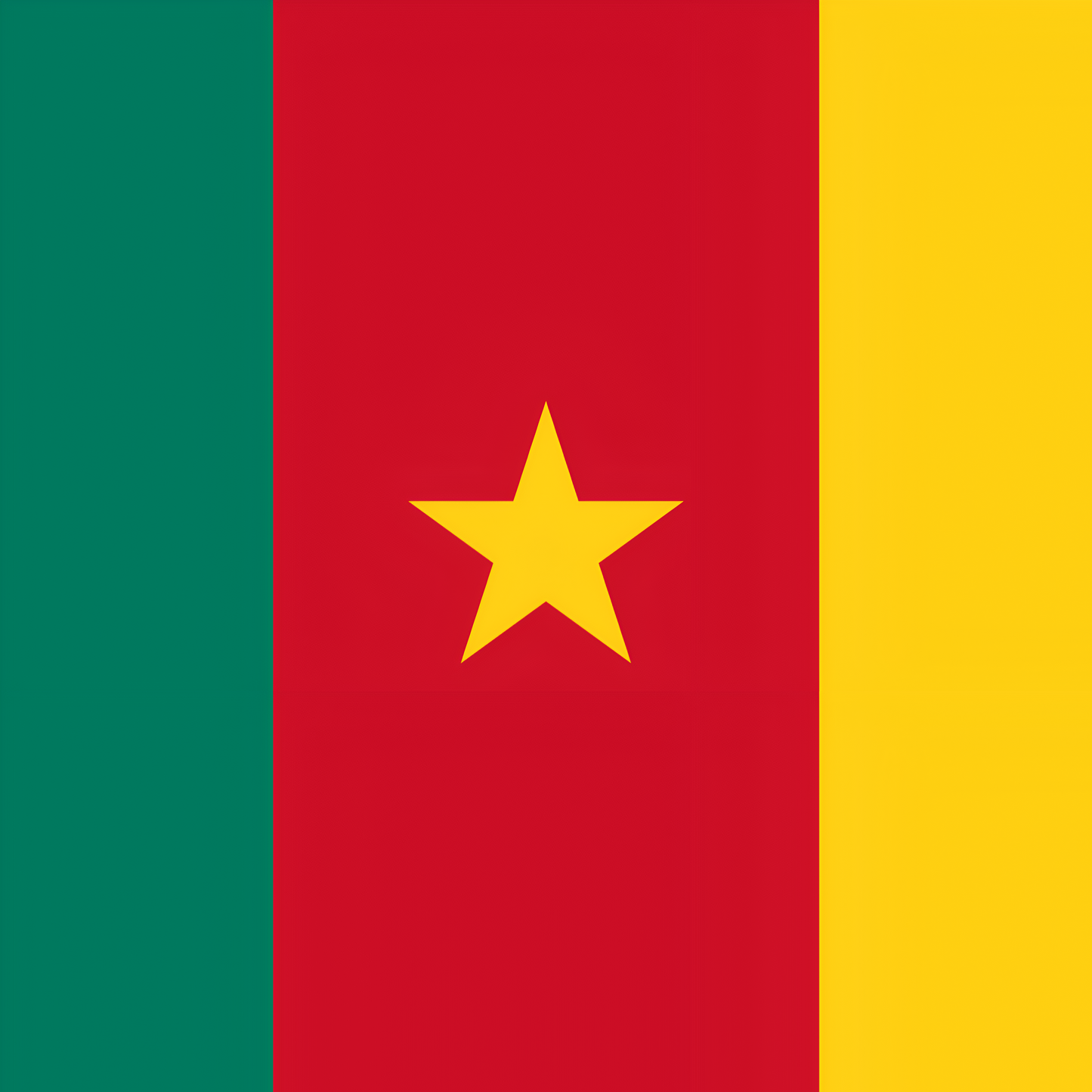 Cameroon Flag